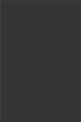 zwart-wandpaneel-openhaardpijpen-nl-1.png